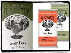 Country Feeds 16% Leyer Feed
